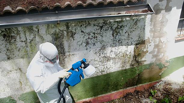 Top rated local Basement Mold Removal specialists in Marlboro, NJ